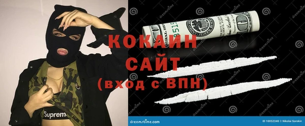 шишки Магас