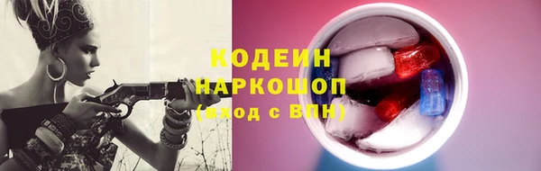 шишки Магас