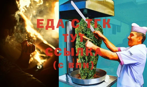 шишки Магас