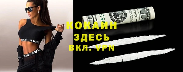 шишки Магас