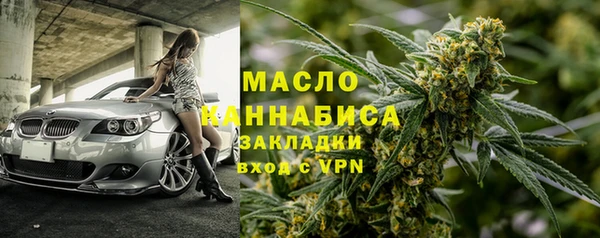 шишки Магас