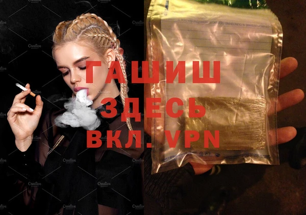 шишки Магас
