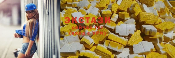 шишки Магас
