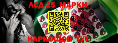 прущие крисы Будённовск
