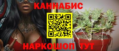 прущие крисы Будённовск