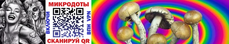 магазин продажи   Каспийск  Галлюциногенные грибы Psilocybe 