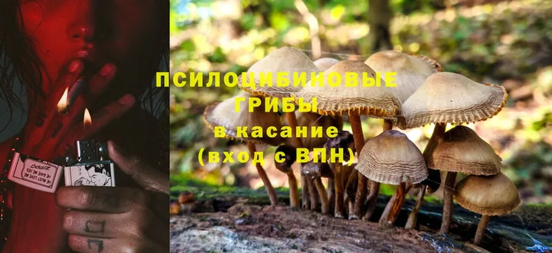 Галлюциногенные грибы Cubensis  маркетплейс как зайти  Каспийск  что такое  