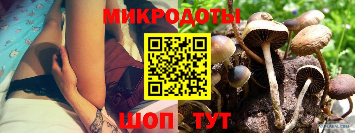 Галлюциногенные грибы GOLDEN TEACHER Каспийск
