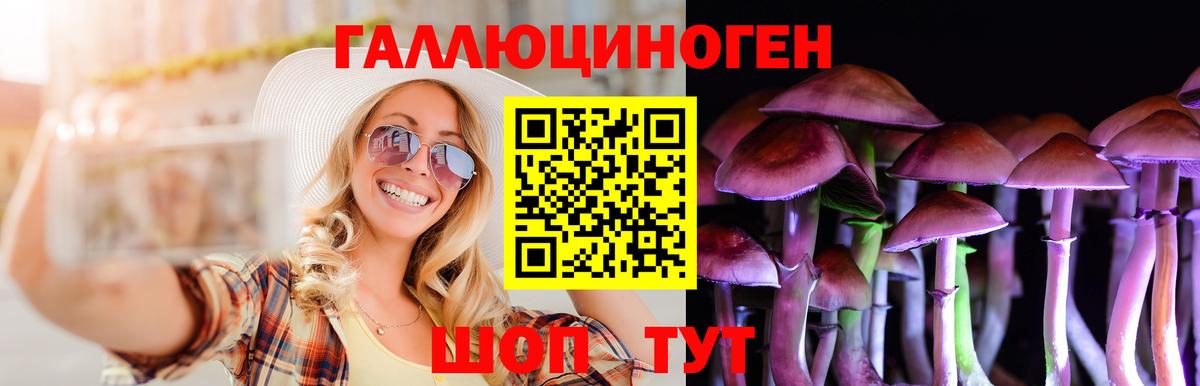 Псилоцибиновые грибы Psilocybe  Каспийск 